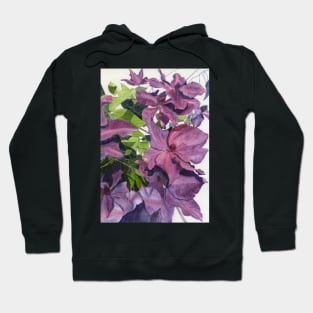 Purple pink clematis watercolour painting Hoodie